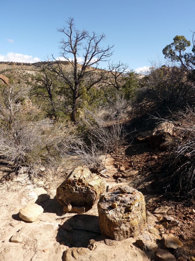 Escalante state park (12).JPG